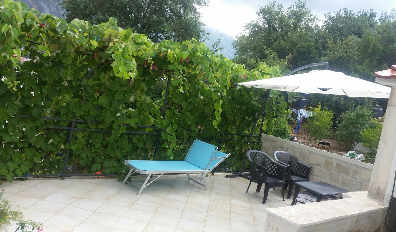 Apartament Vasko & Jana Kotor Zewnętrze zdjęcie