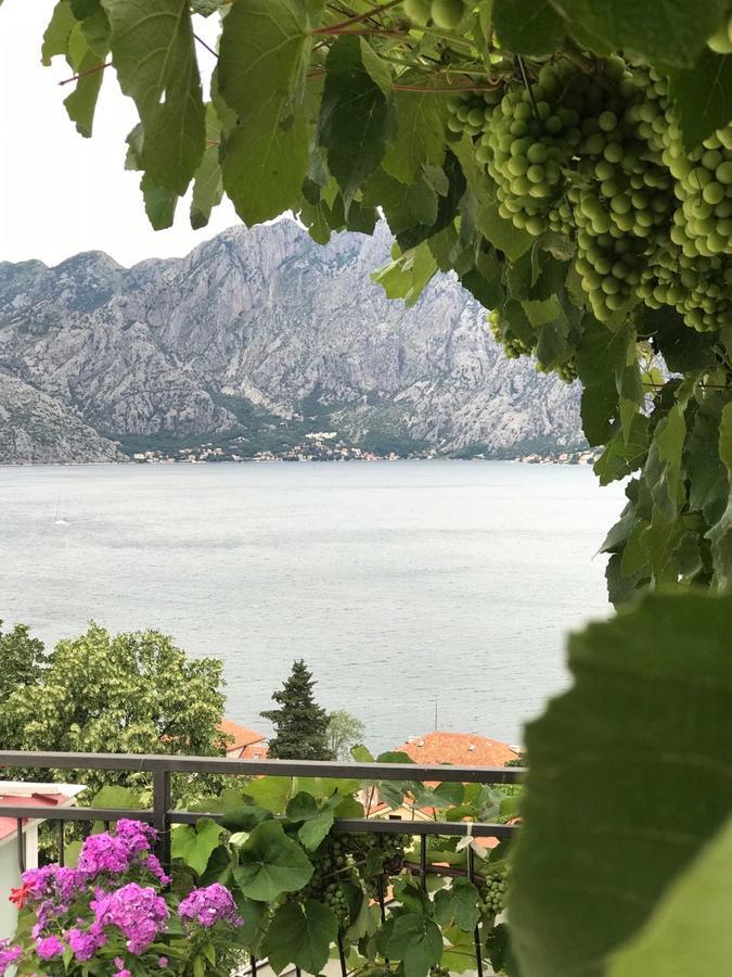 Apartament Vasko & Jana Kotor Zewnętrze zdjęcie